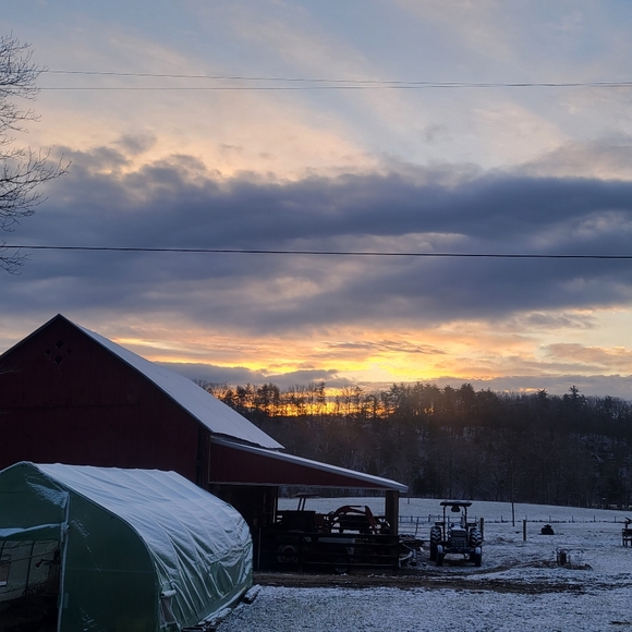 Meet your Posher, M - Picture 1 of 6